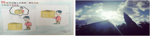 手抄报及摄影作品
